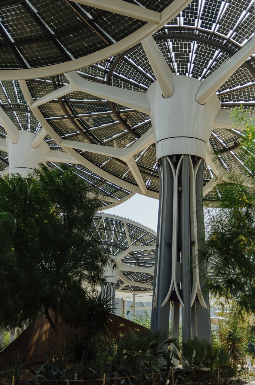 Превью Dubai 2022